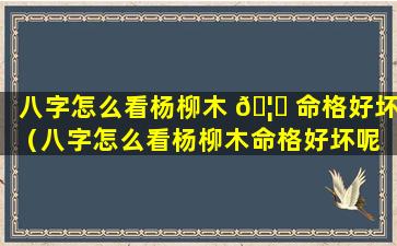 八字怎么看杨柳木 🦅 命格好坏（八字怎么看杨柳木命格好坏呢 🐦 ）